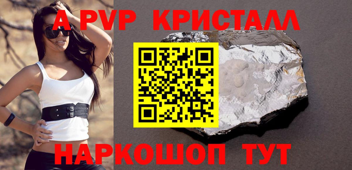 Alfa_PVP СК КРИС Сосновый Бор