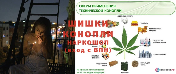 ГАЛЛЮЦИНОГЕННЫЕ ГРИБЫ Армянск