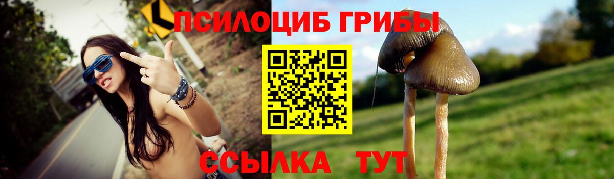 Псилоцибиновые грибы MAGIC MUSHROOMS  Галлюциногенные грибы Magic Shrooms  Сосновый Бор  Вход с VPN 