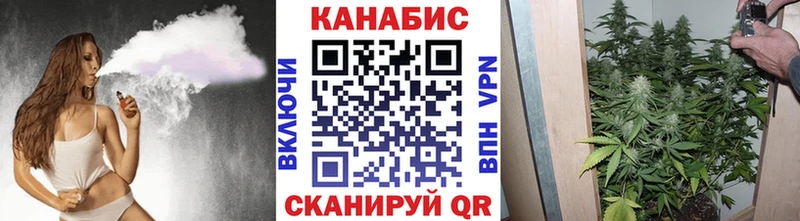 omg ссылка  Сосновый Бор  Шишки марихуана план 